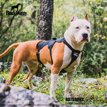 Load image into Gallery viewer, Professional Dog Harness Adjustable