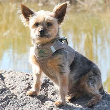 Load image into Gallery viewer, American River Ultra Choke-Free Mesh Dog Harness by Doggie Design
