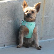 Load image into Gallery viewer, American River Ultra Choke-Free Mesh Dog Harness by Doggie Design